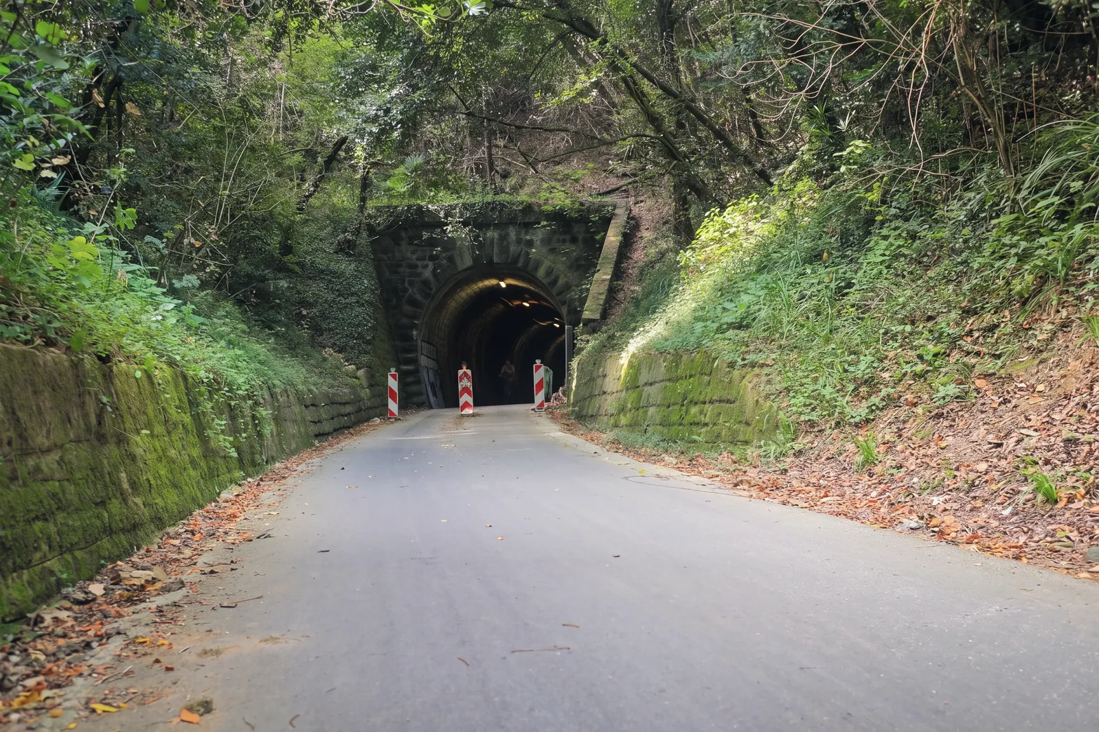 The portal of the Valeta tunnel on the former Parenzana railway, now a cycle and footpath: a stone arch lit inside, red-and-white bollards at the entrance, mossy dry-stone retaining walls and woodland on both sides, fallen leaves on the asphalt.