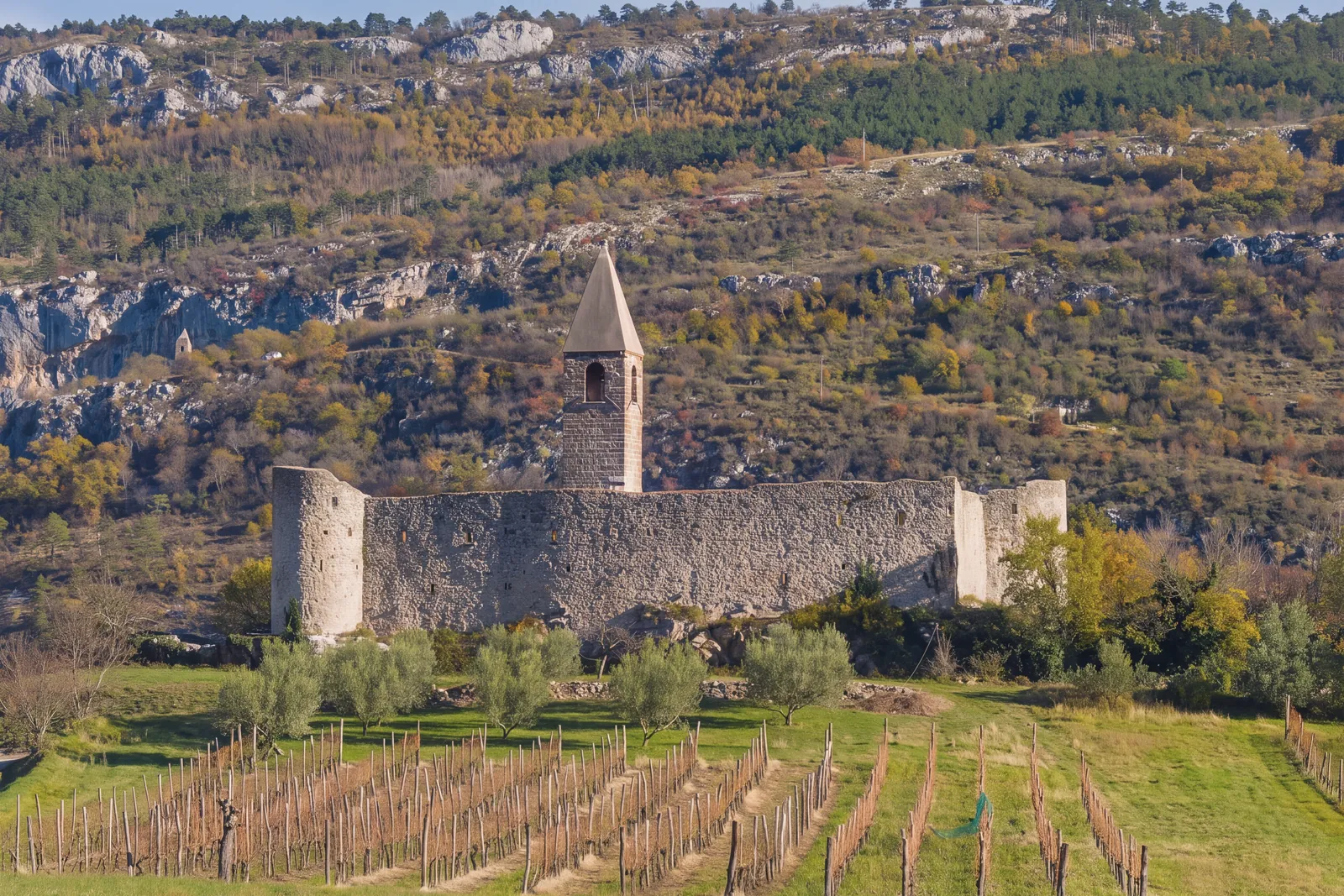 The Holy Trinity church at Hrastovlje inside its fortified stone enclosure, with its pointed bell tower and round corner towers; olive trees and a bare vineyard in front, behind it the wooded slope and the rocks of the Karst edge in autumn colours. Warm afternoon light.
