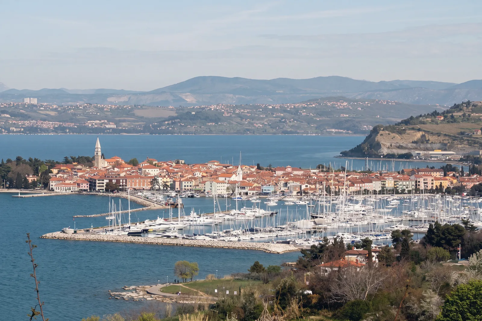 Izola seen from the hill: the old town on its peninsula with the bell tower of St Maurus, the marina packed with sailing boats behind the rock breakwater, a flysch cliff on the right; across the bay, the coast and the hills of the hinterland. Morning light.
