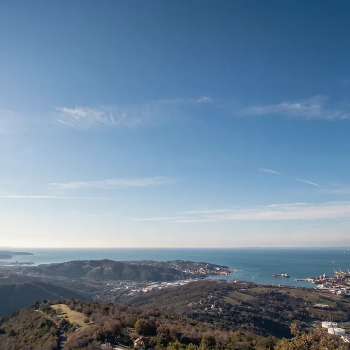 Der Golf von Triest vom Karstrand oberhalb von Socerb an einem klaren Morgen: im Vordergrund bewaldete Hügel; dahinter links der Hafen von Koper mit der Landspitze von Ankaran, in der Mitte die Halbinsel von Muggia mit dem Ort, rechts die Kräne des Hafens von Triest.