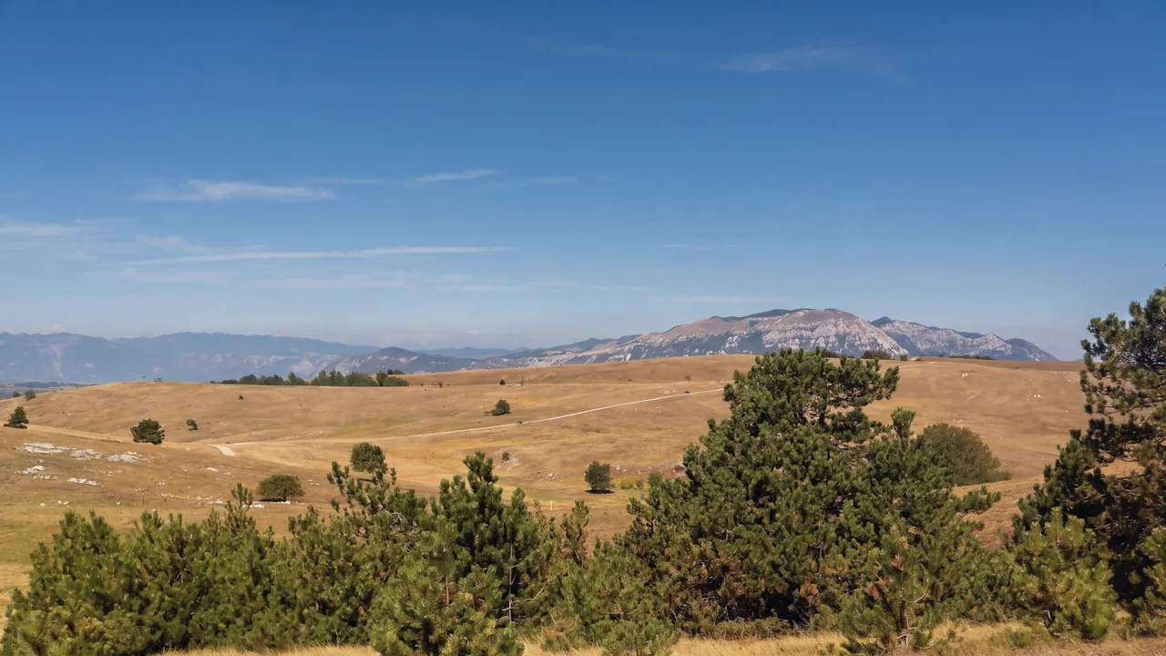 Trockene Weiden auf der Vremščica im Karst: im Vordergrund Gruppen von Schwarzkiefern, dahinter Kalkfelsen, einzelne Bäume und ein Feldweg; am Horizont eine Kette von Kalkbergen. Klares Licht, blauer Himmel mit wenigen hohen Wolken.