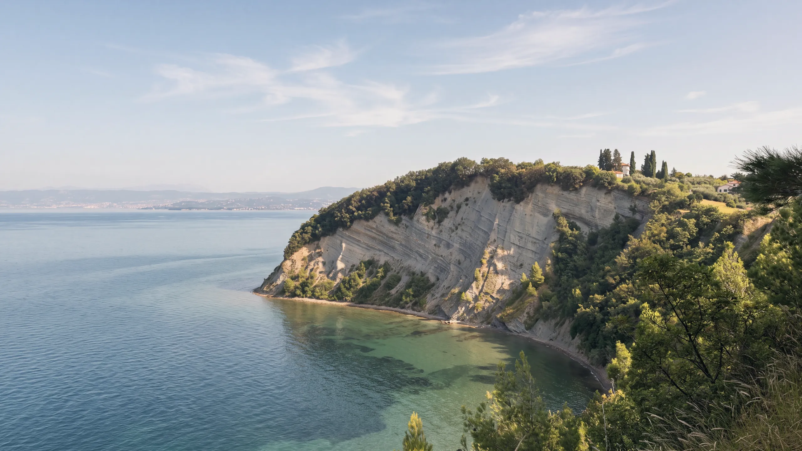 The flysch cliff of Strunjan and the Moon Bay at its foot, seen from the path along the edge in the morning: the grey layered face with vegetation on top, the cypresses and a house on the plateau, the narrow beach following the curve of the bay, clear water over the shallow seabed; in the background, across the gulf, the distant coast.