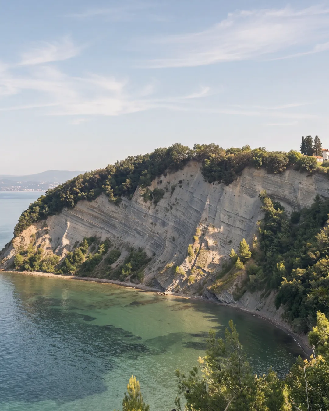 Die Flyschklippe von Strunjan und die Mondbucht an ihrem Fuß, vom Weg an der Kante aus am Morgen gesehen: die graue, geschichtete Wand mit Bewuchs oben, die Zypressen und ein Haus auf der Hochfläche, der schmale Strand entlang der Buchtkurve, klares Wasser über dem flachen Grund; im Hintergrund, jenseits des Golfs, die ferne Küste.